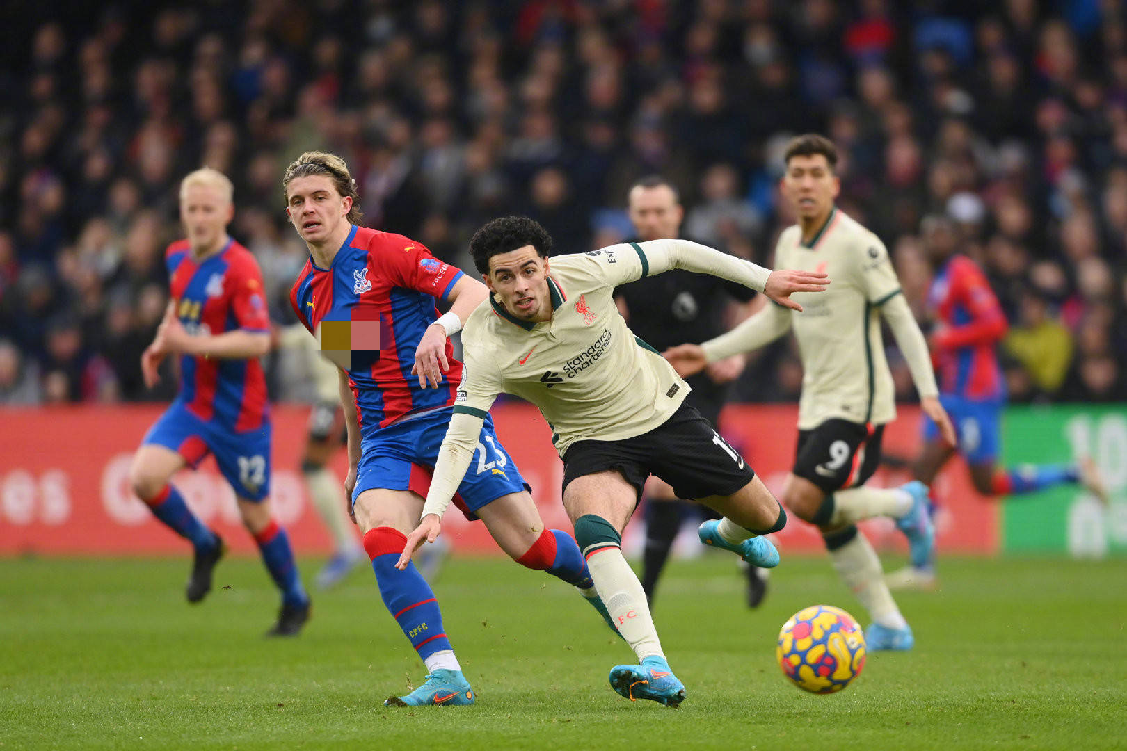 罗德里戈可 罗德里戈可