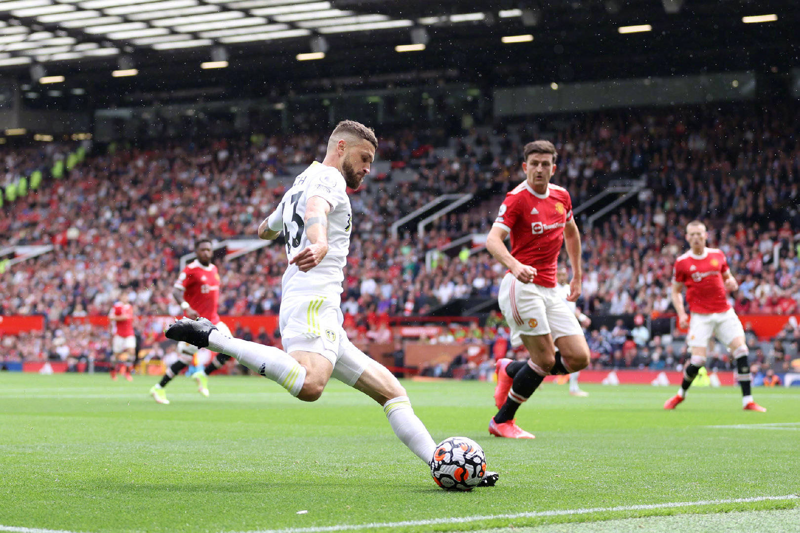 但其确实能 但其确实能